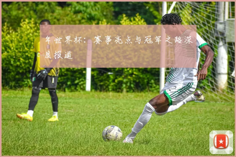 年世界杯：赛事亮点与冠军之路深度报道