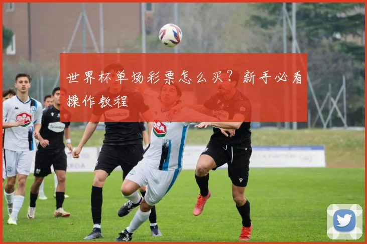 世界杯单场彩票怎么买？新手必看操作教程