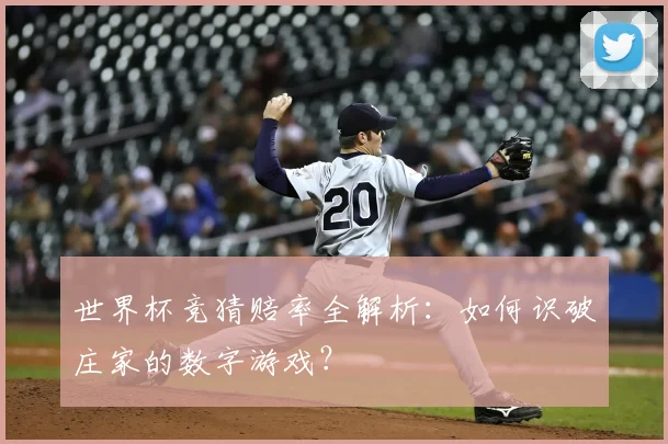 世界杯竞猜赔率全解析:如何识破庄家的数字游戏?