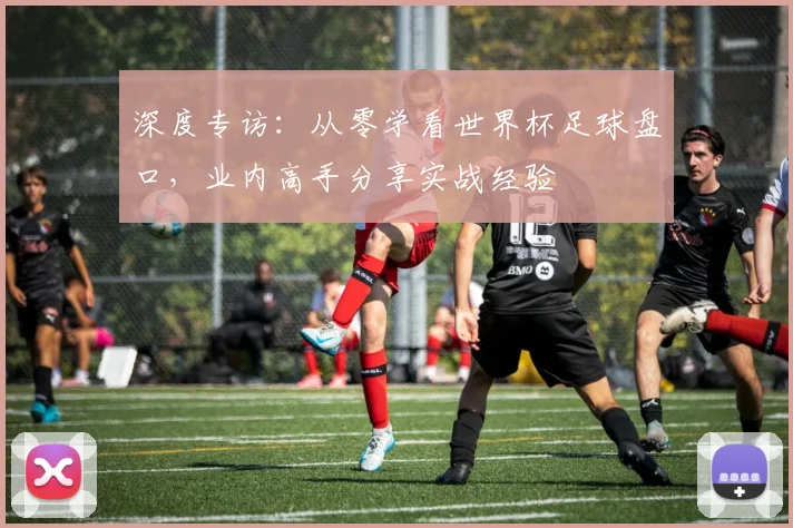 深度专访:从零学看世界杯足球盘口,业内高手分享实战经验