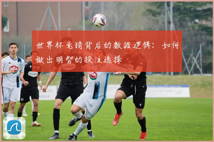 世界杯竞猜背后的数据逻辑:如何做出明智的投注选择