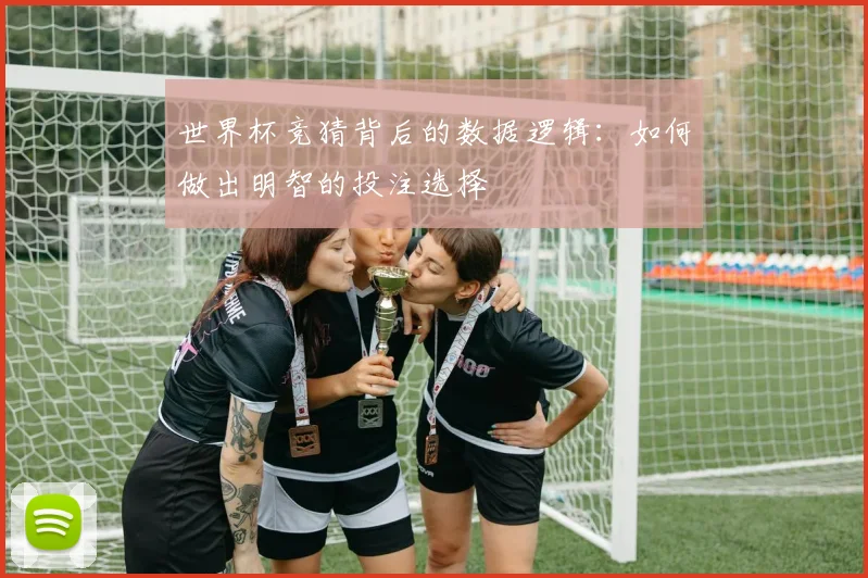 世界杯竞猜背后的数据逻辑:如何做出明智的投注选择